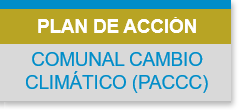 PACCC PINTO