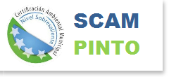 SCAM PINTO